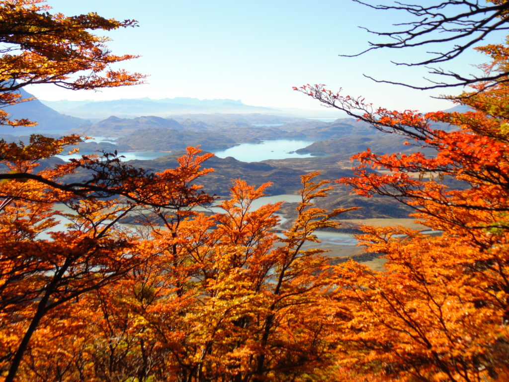 DSC01194-1024x768 DSC01194-1024x768