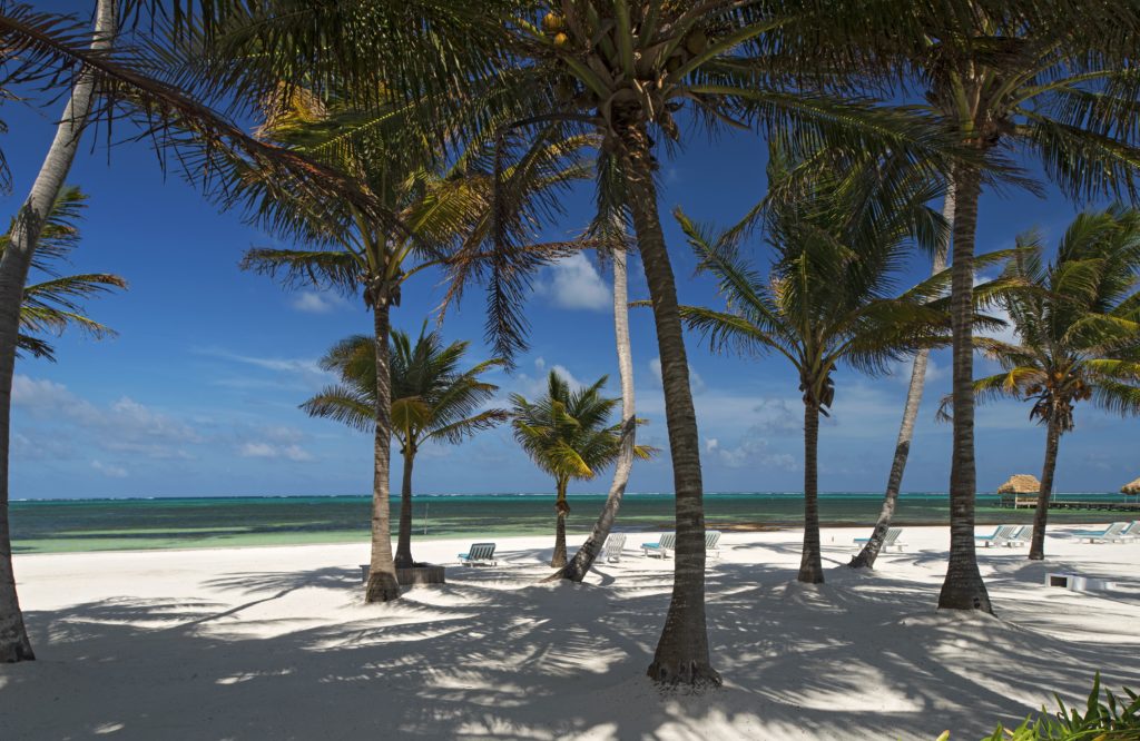 ARA_4360-1024x666 ARA_4360-1024x666