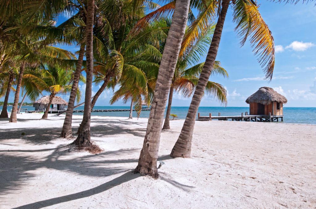 beach-1024x677 beach-1024x677