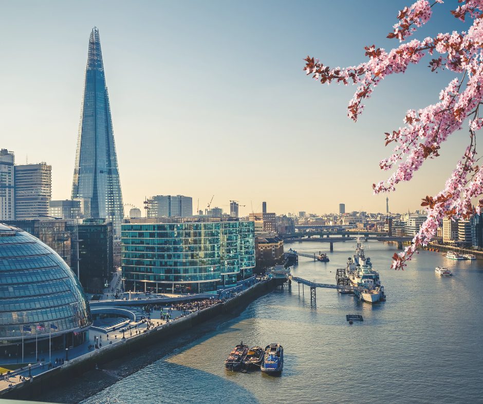 Copy-of-Copy-of-Copy-of-Untitled-Design-19 Copy-of-Copy-of-Copy-of-Untitled-Design-19